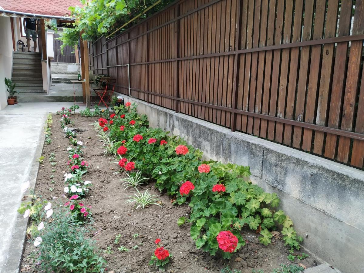 @ Home 大特尔诺沃 外观 照片